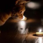 Де у Дніпрі не буде світла з 30 березня по 2 квітня: адреси