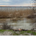 У Кривому Розі з водосховища дістали тіло жінки: подробиці