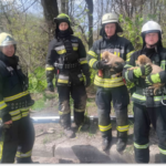 У Запоріжжі надзвичайники врятували двох цуценят із колодязя