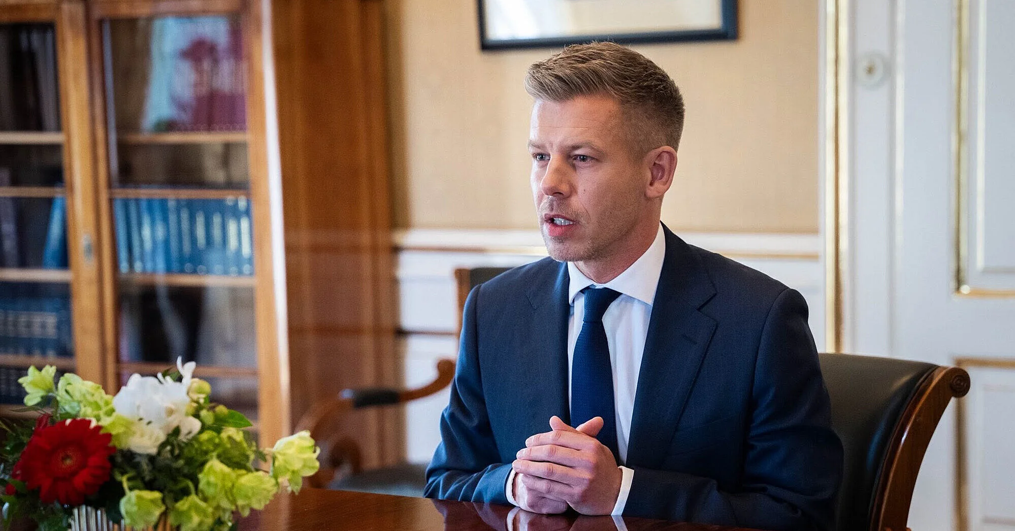 Мадяр пояснив, чому погодив початок вступних переговорів України з ЄС