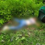 На Запоріжжі п’яний водій позашляховика спричинив смертельну ДТП: загинули дві жінки