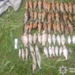 На Дніпропетровщині трьом чоловікам повідомлено про підозру за незаконний вилов риби