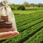До бюджету Запоріжжя повернули понад 1,6 млн грн за користування землею без договору оренди