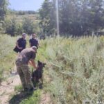 На Дніпропетровщині службові собаки відпрацювали пошук людей під завалами