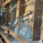 Пошкоджений російським ударом «Акваріум» у Дніпрі оголосив збір коштів на відновлення