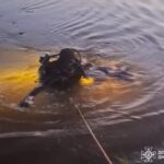 У Дніпровському районі на ставку потонула жінка