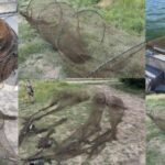 На Кам’янському водосховищі рибоохоронці виявили 75-метровий браконьєрський ятір