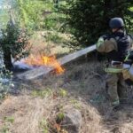 Запоріжжя: надзвичайники ліквідували пожежі в екосистемах, спричинені ворожими обстрілами