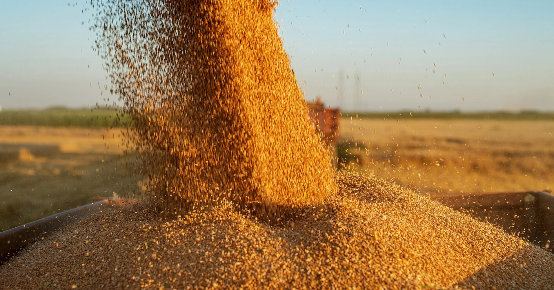 Україна проситиме ЄС збільшити безмитні квоти на агропродукцію