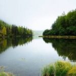 На Дніпропетровщині назвали водойми, де не радять купатися