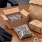 У Дніпрі поліцейські вилучили майже 300 грамів канабісу: жінці повідомили про підозру